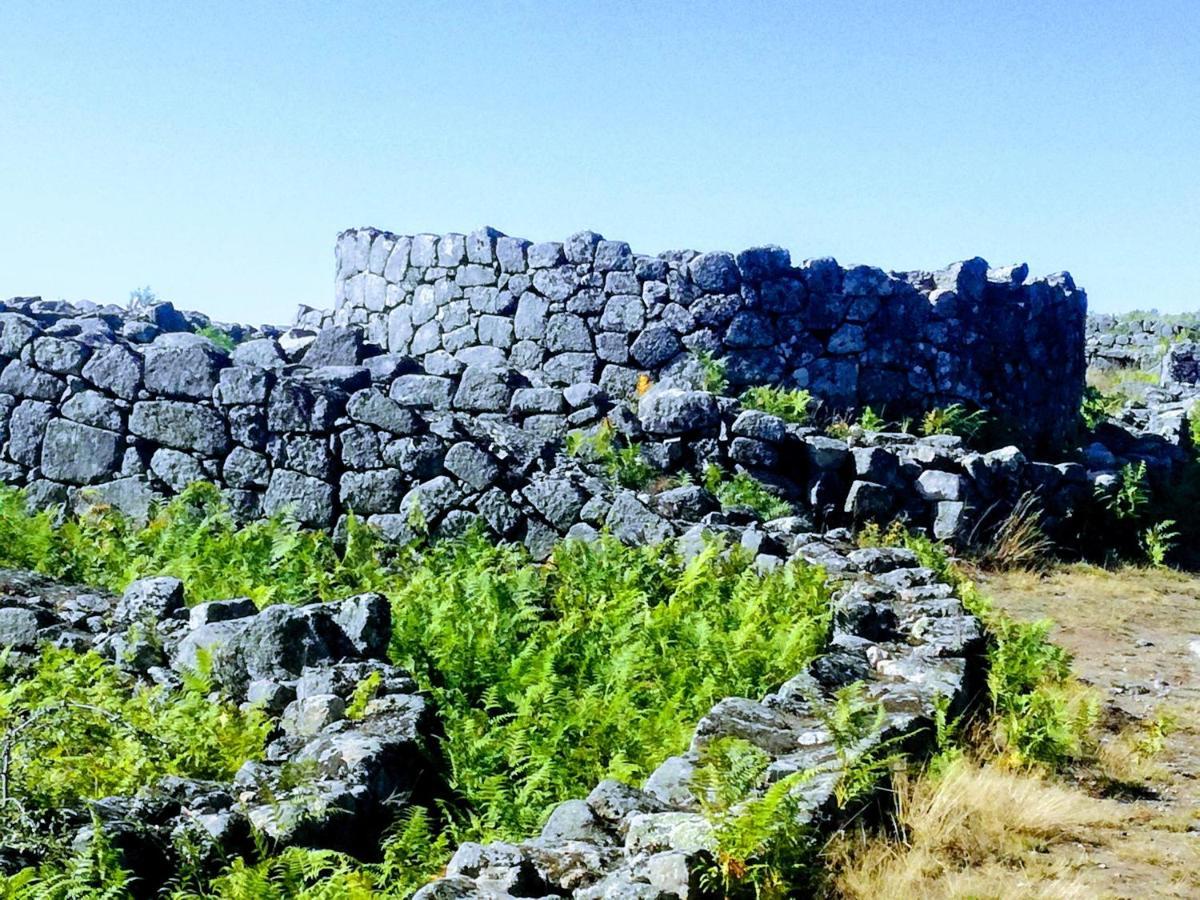 فيلا Casa Da Costeira Figueiro المظهر الخارجي الصورة