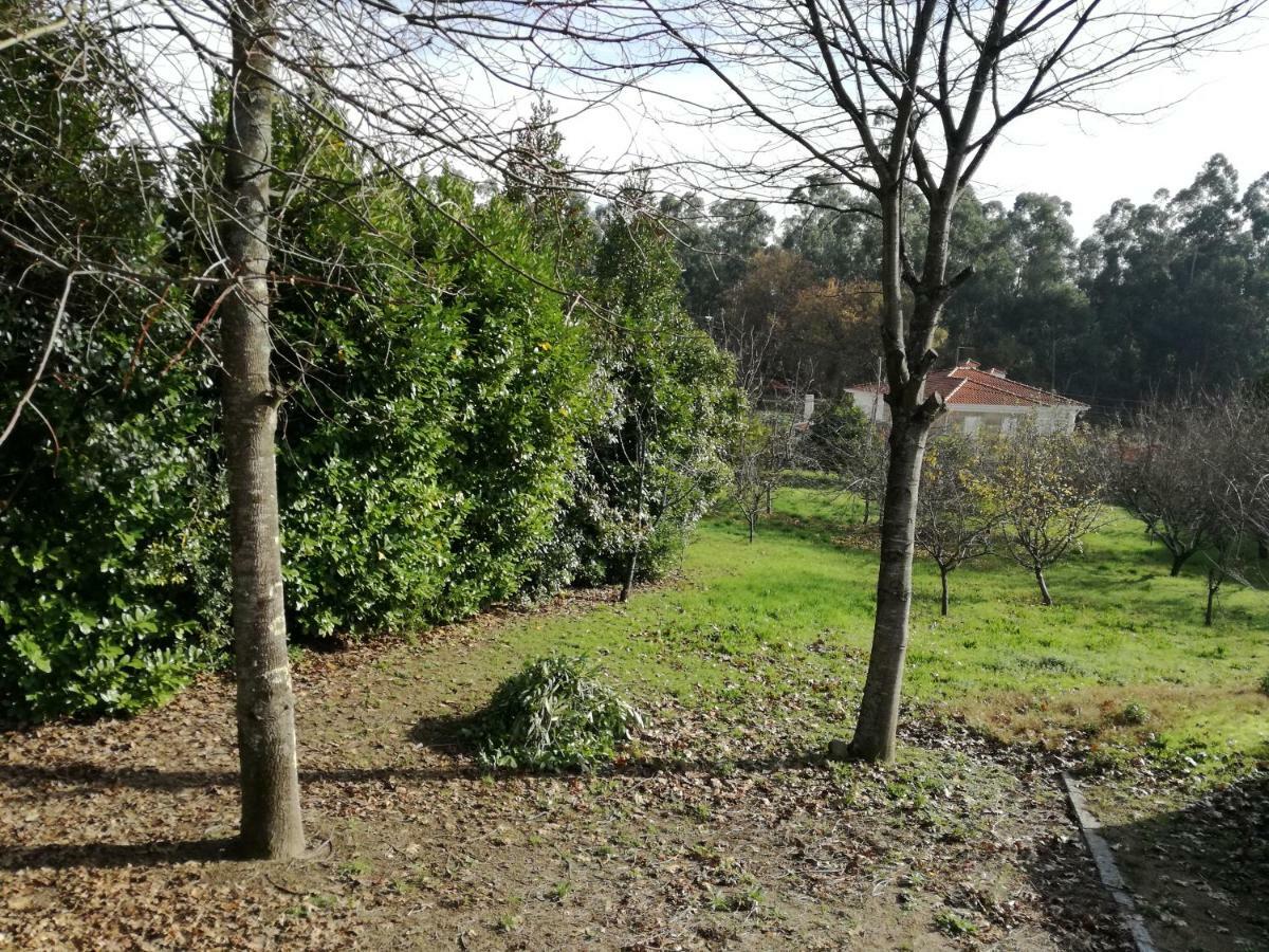 فيلا Casa Da Costeira Figueiro المظهر الخارجي الصورة